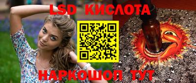 мет Камышлов