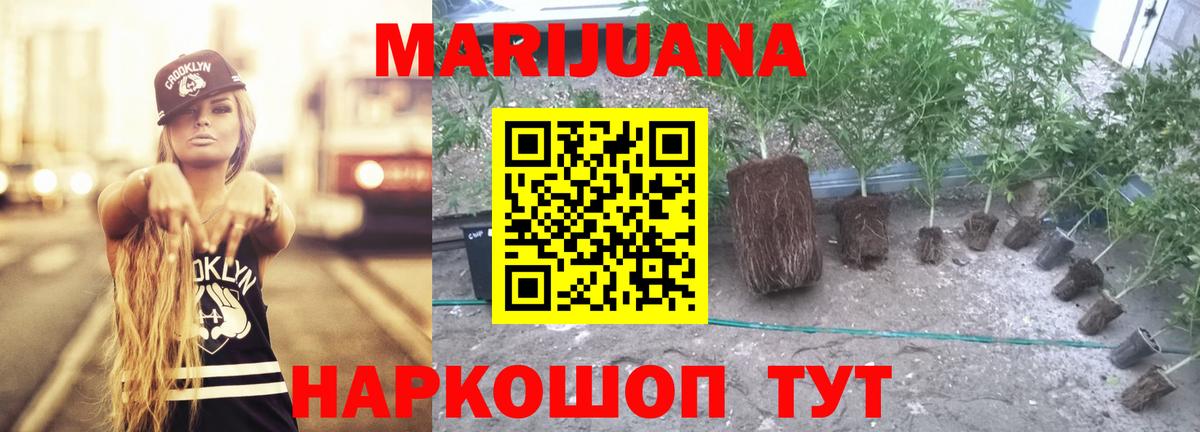 Каннабис MAZAR  Вход с VPN  Канабис планчик  Коряжма  Канабис OG Kush  Канабис сатива 